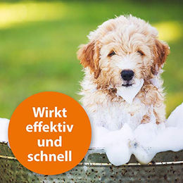 ARDAP Anti Zecken Shampoo für Hunde gegen Zecken und Flöhe 250 ml - 250 ml – Bild 1 von 7