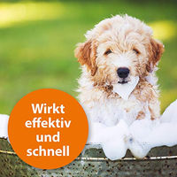 Produktbild von ARDAP Anti Zecken Shampoo für Hunde gegen Zecken und Flöhe 250 ml - 250 ml