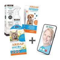 Produktbild von Ardap Care Floh- und Zeckenschutz Spot-On für Katzen