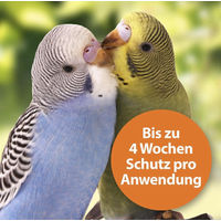 Produktbild von Ardap Spot-On Zecken- und Milbenschutz für Ziervögel und Brieftauben