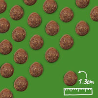 Produktbild von Arden Grange Hundefutter Adult Lamm und Reis 2 kg - 2 kg