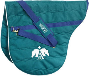 Arena Saddles Englischer Sattelbehälter Tasche Grün – Bild 1 von 1