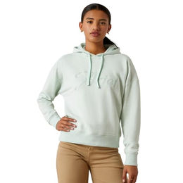 Ariat Just Hoodie Damen Pullover aus Bio-Baumwolle Beach Glass Heather Größe S – Bild 1 von 4