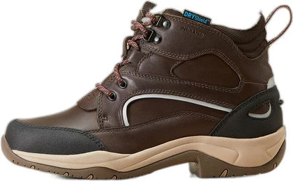 Ariat Telluride H2O Reitstiefel Damen Leder Braun Wasserdicht Isoliert – Bild 1 von 13