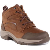 Produktbild von Ariat Telluride II H2O Reitstiefel für Damen aus Leder in Braun wasserdicht Größe 37.5 EU