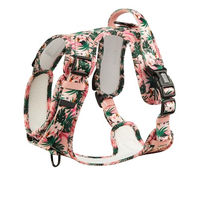 Produktbild von ARIZONA HOT DOGS Hunde-Griffgeschirr Tropicool aus Neopren Y-Geschirr Buntes Blattmuster Pink Größe M