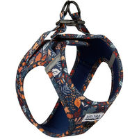 Produktbild von ARIZONA HOT DOGS Hundegeschirr Step-In Neopren Fall in Love Bunt XL