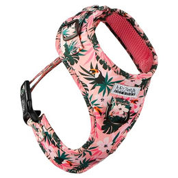 ARIZONA HOT DOGS Softgeschirr Tropicool für kleine Hunde aus Neopren in Rosa S – Bild 1 von 5