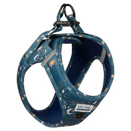Arizona Hotdogs Hundegeschirr Step-In Neopren Norwegergeschirr Moonlight Blau Größe S – Bild 1 von 5