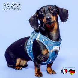 Arizona Hotdogs Hundegeschirr Step-In Neopren Norwegergeschirr Moonlight Blau XL – Bild 1 von 4