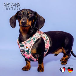 Arizona Hotdogs Hundegeschirr Step-In Tropicool aus Neopren in XL – Bild 1 von 4