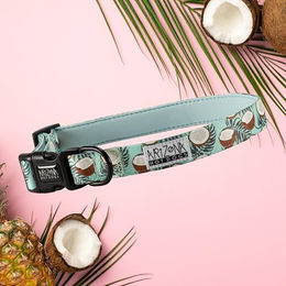 Arizona Hotdogs Hundehalsband aus Nylon mit Neopren Coconut Kokosnuss-Muster Hellblau Größe L – Bild 1 von 3