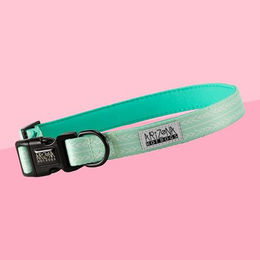 Produktbild von Arizona Hotdogs Hundehalsband aus Nylon mit Neopren Mint Grün Größe L