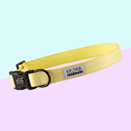 Produktbild von Arizona Hotdogs Hundehalsband Lemon Gelb aus Nylon mit Neopren Größe L