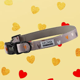 Arizona Hotdogs Hundehalsband Sweet Love Herzchenmuster aus Nylon mit Neopren in Taupe Größe S - 1 Stk. – Bild 1 von 3