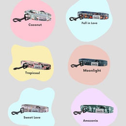 Produktbild von Arizona Hotdogs Hundeleine aus Nylon mit Neoprenpolsterung Rosa Marshmallow Chevron-Muster Größe M - 1,5 m