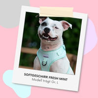 Produktbild von Arizona Hotdogs Softgeschirr für kleine Hunde aus Neopren Grün Türkis Größe M