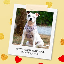 Arizona Hotdogs Softgeschirr Sweet Love Hundegeschirr für kleine Hunde aus Neopren Rosa XS – Bild 1 von 3