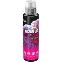 Produktbild von ARKA Coral Active Korallen Booster für Meerwasser Aquarium zur Unterstützung von Wachstum und Farbenpracht 236ml - 236 ml