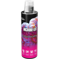 Produktbild von ARKA Coral Active Meerwasser Korallenpflege Booster für Wachstum und Farbenpracht 473ml - 473 ml