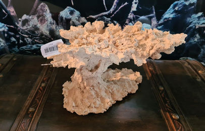 Produktbild von ARKA Flying Reef Riffkeramik Dekoration für Meerwasser Aquarien 32x19x20cm Beige