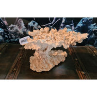Produktbild von ARKA Flying Reef Riffkeramik Dekoration für Meerwasser Aquarien 32x19x20cm Beige