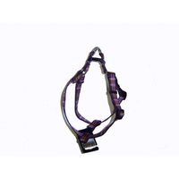 Produktbild von ARKA Hunde-Geschirr Haok aus Nylon wasserabweisend Lila 31/53 cm