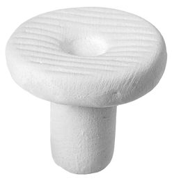 ARKA myReef CoralPlugs Keramik Korallen Ablegersteine rund 21 mm 12 Stück – Bild 1 von 6