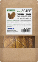 ARKA mySCAPE Catappa Blätter für Süßwasserfische und Garnelen 10 Stück 16-20 cm – Bild 1 von 7