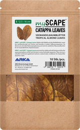 ARKA mySCAPE Catappa Blätter Seemandelbaumblätter zur Wasseraufbereitung für Fische und Garnelen 10 Stück 12-16 cm – Bild 1 von 10