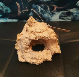 Produktbild von ARKA Riffhöhle 2 Loch aus Keramik für Meerwasser Aquarium 12x11x10cm Beige