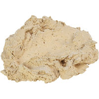Produktbild von ARKA Riffkeramik Muschelhalter L Beige