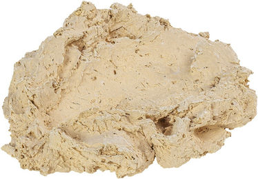 Produktbild von ARKA Riffkeramik Muschelhalter M Beige für Meerwasseraquarien