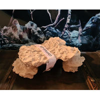 Produktbild von ARKA Riffplateau aus Riffkeramik als Meerwasser Aquarium Dekoration 32x22x11cm Beige