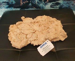 Produktbild von ARKA Riffplatte aus Riffkeramik für Meerwasser Aquarium 23x16x4cm Beige