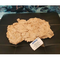 Produktbild von ARKA Riffplatte aus Riffkeramik für Meerwasser Aquarium 23x16x4cm Beige