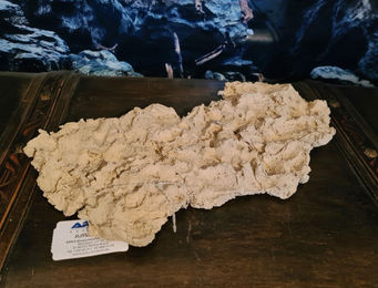 Produktbild von ARKA Rückwandmodul Puzzle aus Riffkeramik für Meerwasser Aquarien ca. 30cm beige
