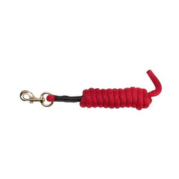 Produktbild von Arma Führleine für Pferde aus Nylon in Grün One Size - 1 Stk.