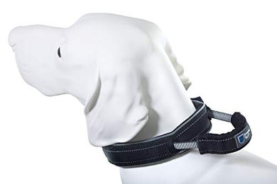 ArmoredTech Erziehungshalsband mit integriertem Kurzführer für Hunde XL Schwarz aus Baumwolle - 1 Stk. – Bild 1 von 10