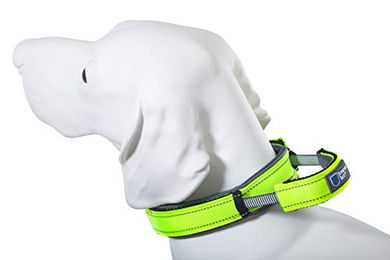 ArmoredTech Hundehalsband mit integriertem Kurzführer aus Nylon in XL Neon Grün für große Hunde – Bild 1 von 10
