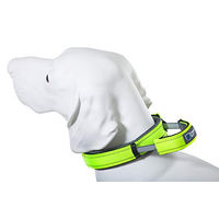 Produktbild von ArmoredTech Hundehalsband mit integriertem Kurzführer aus Nylon in XL Neon Grün für große Hunde
