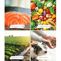Produktbild von ARQUIVET Fresh Halbfeuchtes Hundefutter mit Truthahn und Meeresfisch für Adult Hunde 2,5 kg - 2,5 kg