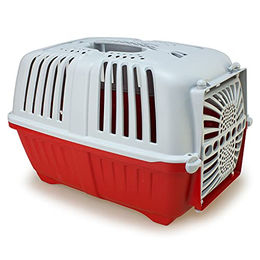 Arquivet Transportbox Pratiko aus Kunststoff in Türkisch Größe L 48 x 31,5 x 33 cm – Bild 1 von 6