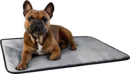 Aspero Hundedecke Lund Grau aus Baumwolle und Polyester für erwachsene Hunde – Bild 1 von 5