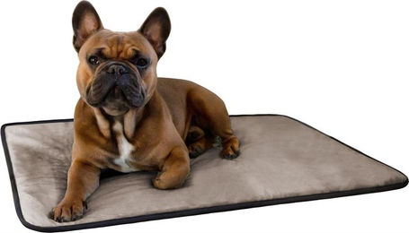 Aspero Hundematte Lund Beige aus Baumwolle und Polyester weiche Hundedecke für erwachsene Hunde – Bild 1 von 5