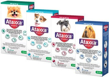 Ataxxa Spot-On Flöte gegen Flöhe für Hunde über 25kg 3 Pipetten – Bild 1 von 3