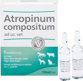 Atropinum Compositum Ad Us. Vet. Ampullen für Tiere aller Altersstufen – Bild 1 von 2