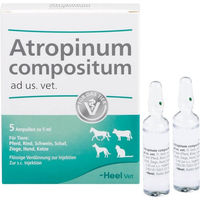 Produktbild von Atropinum Compositum Ad Us. Vet. Ampullen für Tiere aller Altersstufen