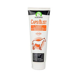Produktbild von Audevard Capsiblist Liquid zur Unterstützung der Gelenke 250 ml