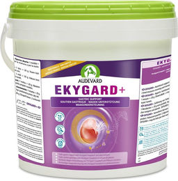 Audevard Ekygard+ Probiotika für Pferde zur Unterstützung der Magen-Darm-Verdauung 1000g – Bild 1 von 4
